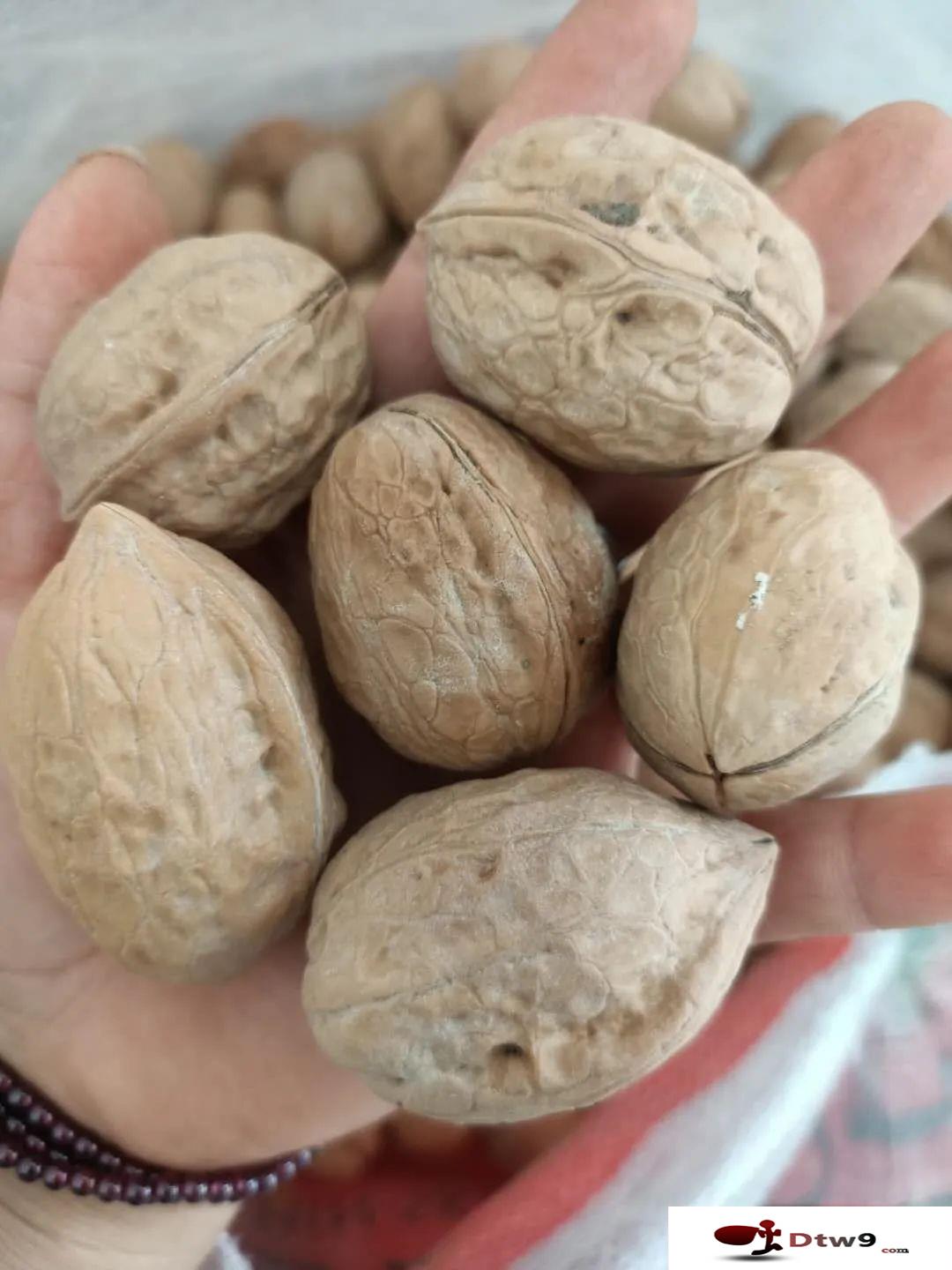 冬季擺地?cái)傎u(mài)食品干貨，年貨網(wǎng)紅零食貨源批發(fā)