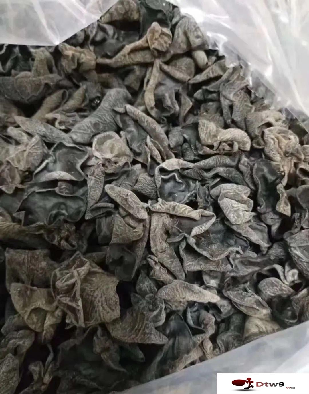 擺地?cái)傎u(mài)食品干貨，黃金薯片，海帶絲，桂圓干貨源批發(fā)