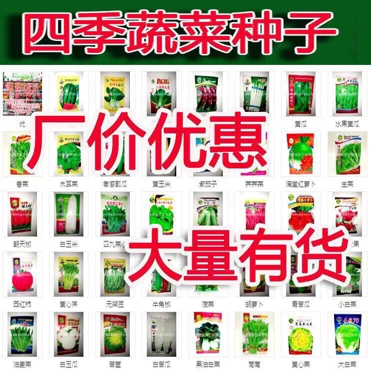 地?cái)偹募静朔N子批發(fā) 地?cái)偹募静朔N子批發(fā)