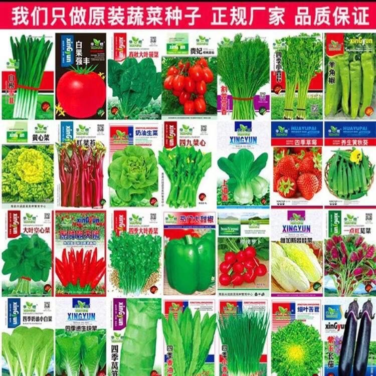 地?cái)偹募静朔N子批發(fā) 地?cái)偹募静朔N子批發(fā)