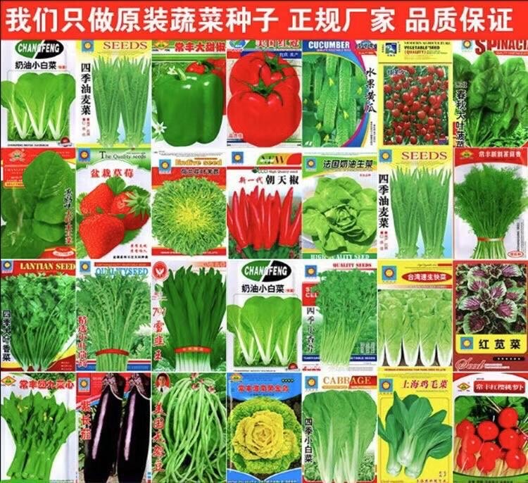 地?cái)偹募静朔N子批發(fā) 地?cái)偹募静朔N子批發(fā)