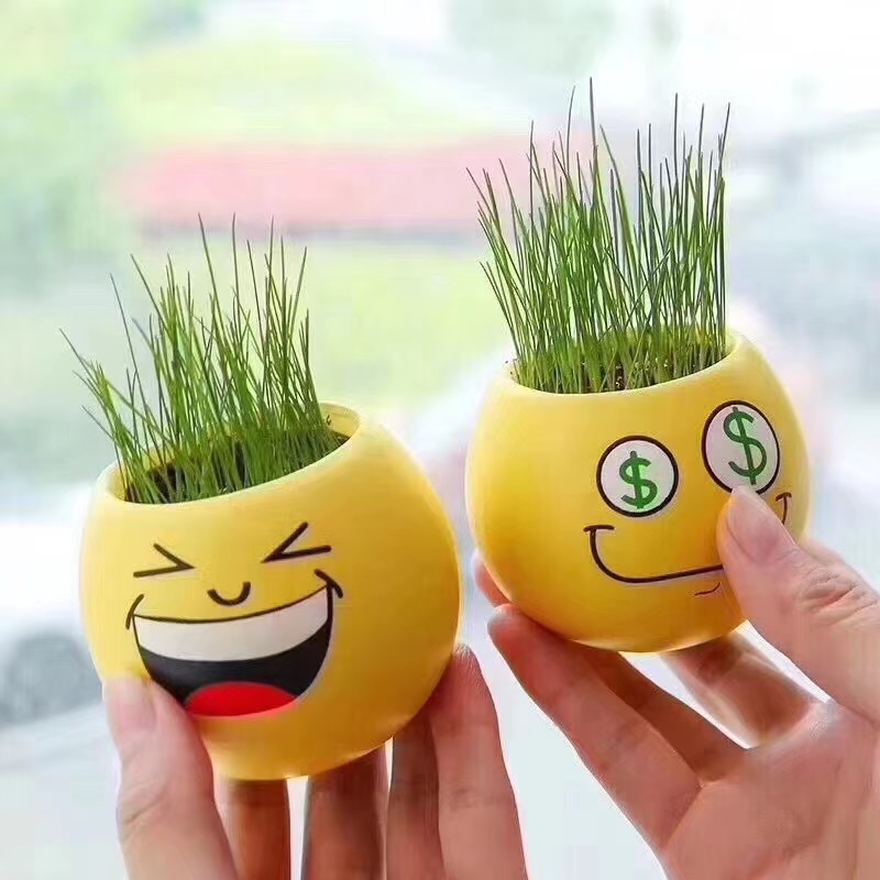 地?cái)偯让葒}創(chuàng)意表情娃娃草批發(fā) 地?cái)偯让葒}創(chuàng)意表情娃娃草批發(fā)